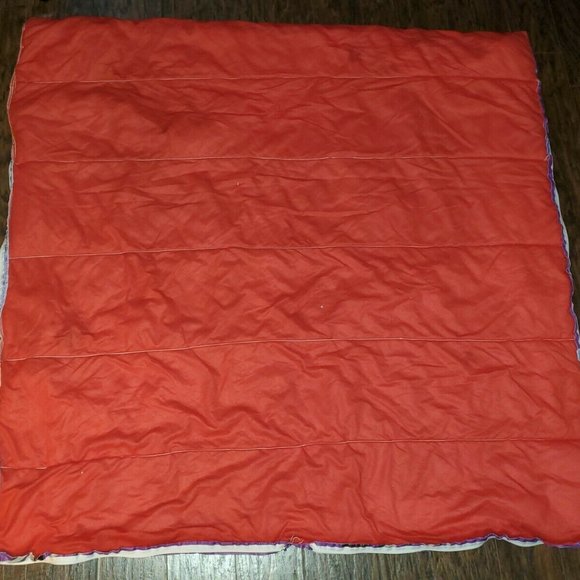 Vintage R.L. Stine Goosebumps Sleeping Bag Mummy Skateboarding Purple Red - Picture 4 of 4